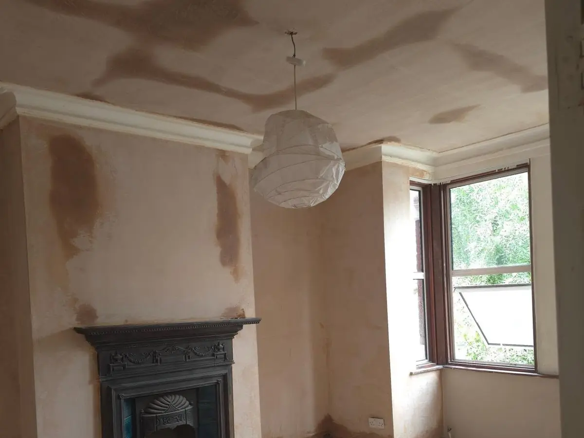 Period room replastered around the original fireplace, by ST Plastering & Rendering