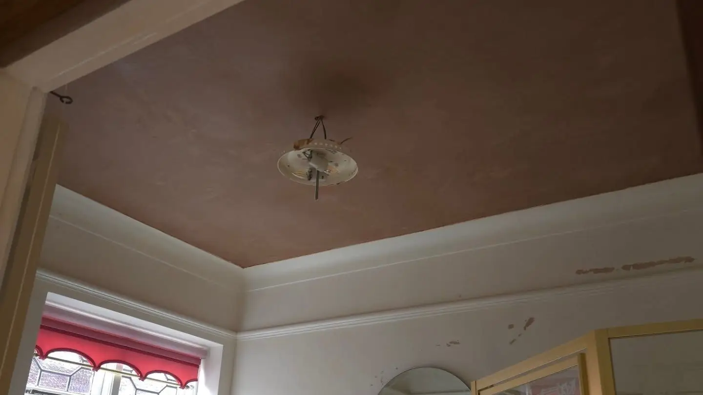 Ceiling freshly skimmed around its rose and cornice by ST Plastering & Rendering